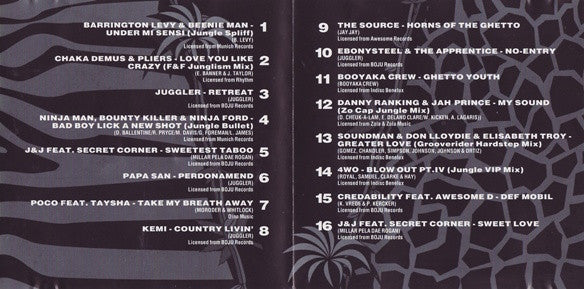 Various : Welcome To Jungle 2 (CD, Comp)
