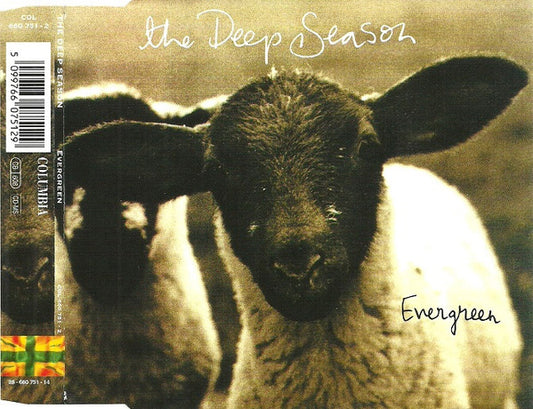 The Deep Season : Evergreen (CD, Maxi)