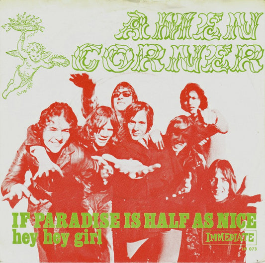 Amen Corner : If Paradise Is Half As Nice (7", Single)