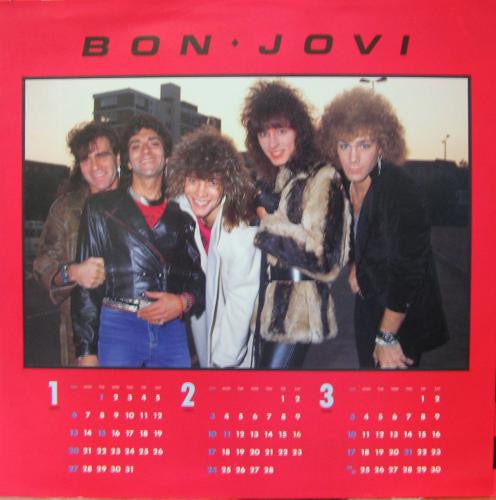 Bon Jovi : Burning For Love (12")