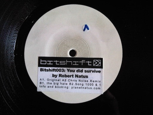 Robert Natus : You Did Survive (12", Promo, W/Lbl)