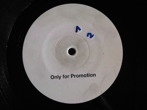 Robert Natus : You Did Survive (12", Promo, W/Lbl)