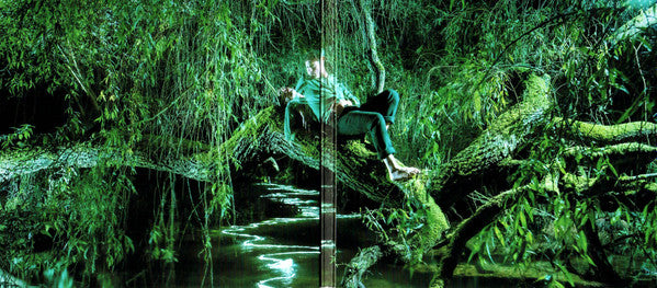 Sam Lee (6) : Songdreaming (CD, Album)
