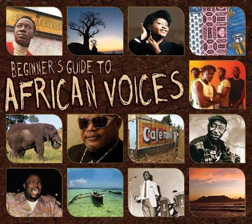 Various : Beginner's Guide To African Voices (3xCD, Comp + Box)