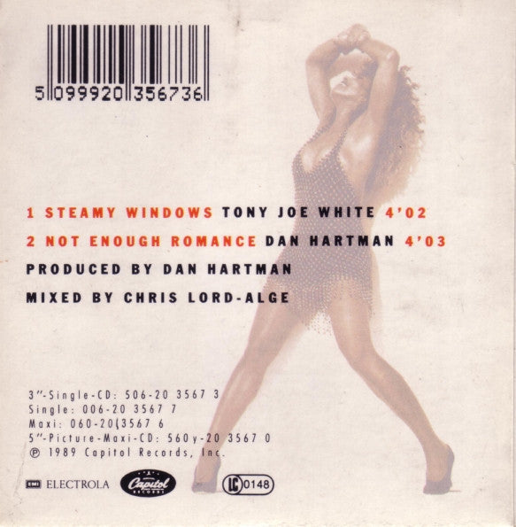 Tina Turner : Steamy Windows (CD, Mini)