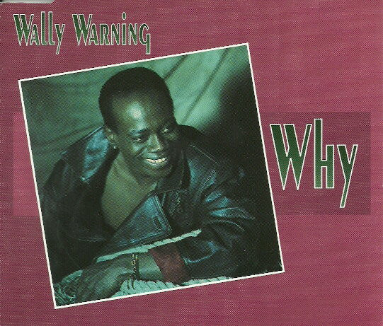 Wally Warning : Why (CD, Maxi)