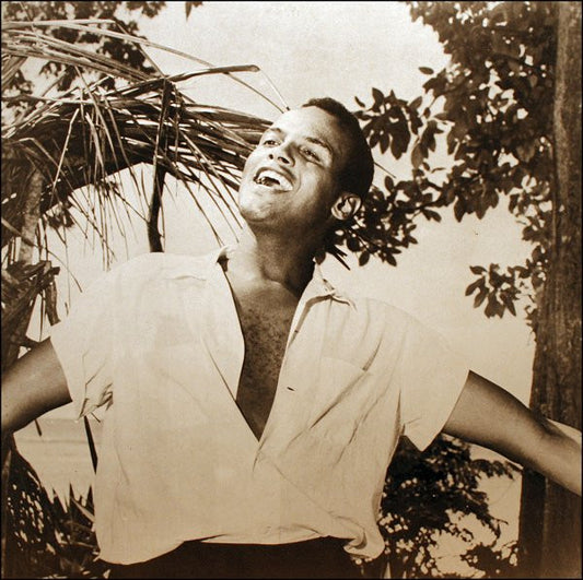 Harry Belafonte : Zijn Grootste Successen (2xLP, Comp, Gat)