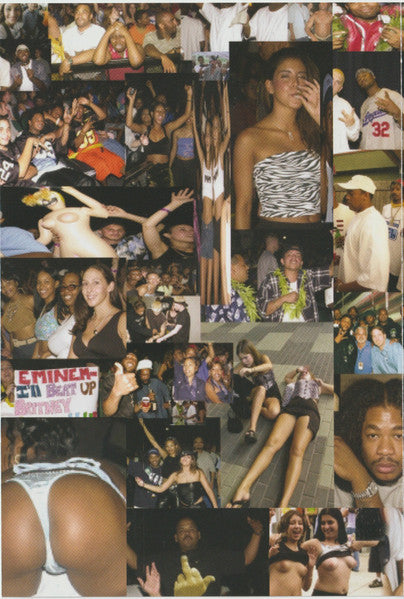 Various : The Up In Smoke Tour (DVD-V, PAL)