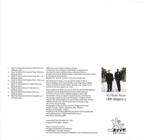 Powerhouse Feat. Duane Harden : What You Need (CD, Maxi)