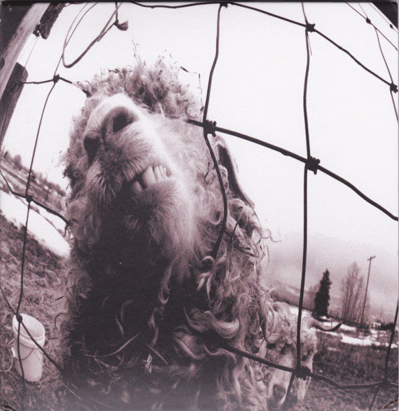 Pearl Jam : Vs (CD, Album, RE, RM, Exp)