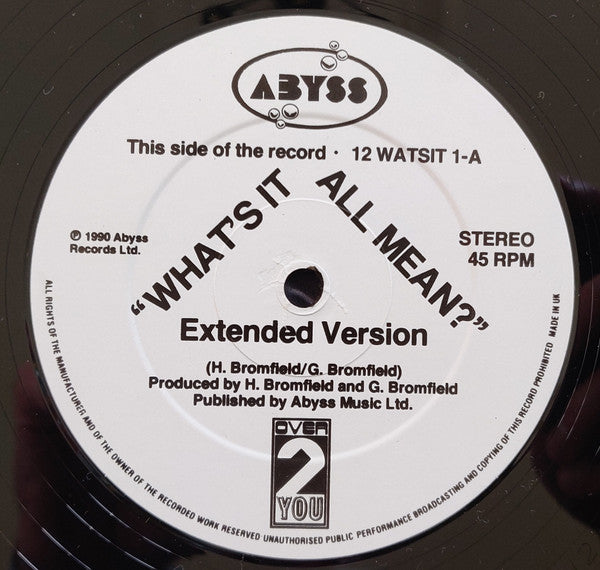 Over 2 U : What's It All Mean?  (12")