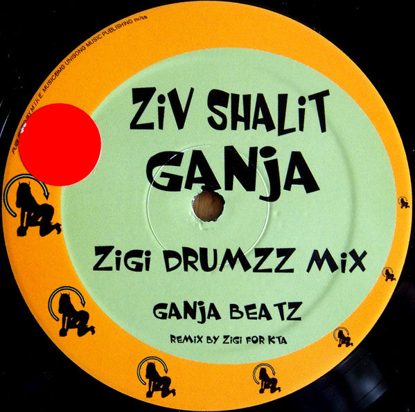 Ziv Shalit : Ganja (12")