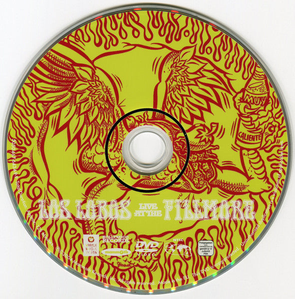 Los Lobos : Live At The Fillmore (DVD-V, PAL)