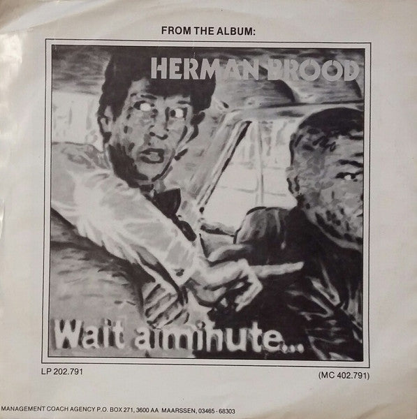 Herman Brood : All The Girls 'Re Crazy (7", Single)