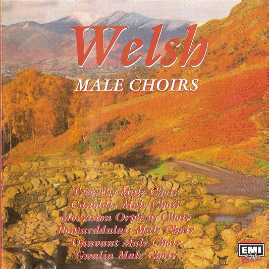 Various : Welsh Male Voice Choirs (CD, Comp)