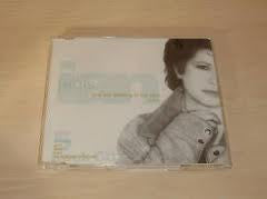 Janis Ian : Take Me Walking In The Rain (Remix) (CD, Promo)