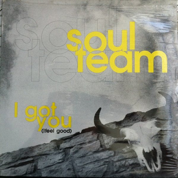 Soulteam : I Got You (I Feel Good) (12")