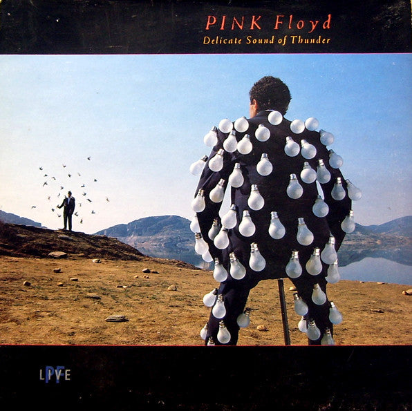 Pink Floyd : Delicate Sound Of Thunder (2xLP, Album, Gat)