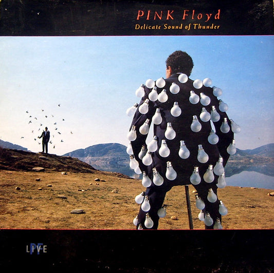 Pink Floyd : Delicate Sound Of Thunder (2xLP, Album, Gat)