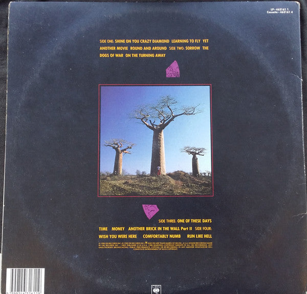 Pink Floyd : Delicate Sound Of Thunder (2xLP, Album, Gat)