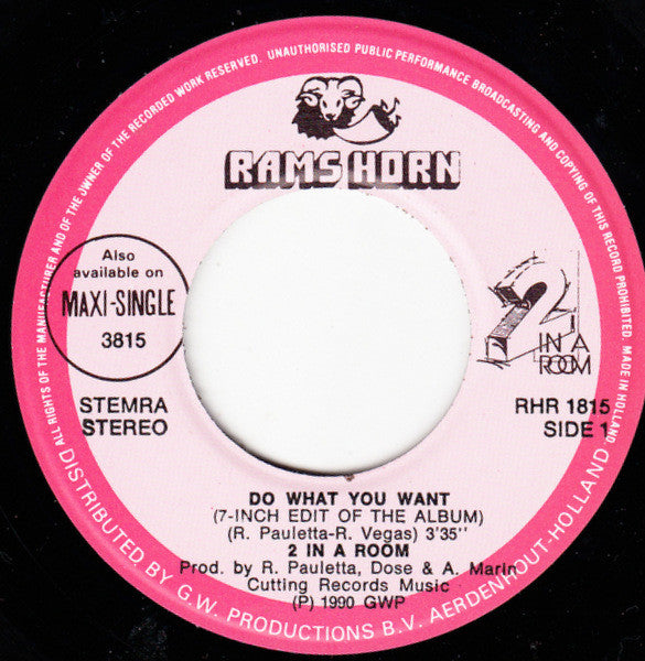 2 In A Room : Do What You Want (7", Single)