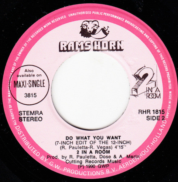 2 In A Room : Do What You Want (7", Single)