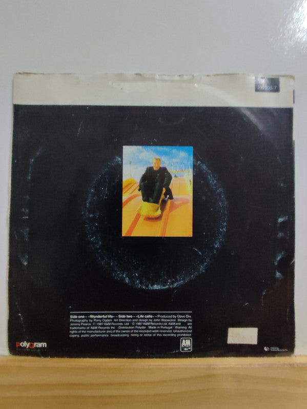 Black (2) : Wonderful Life (7", Single)