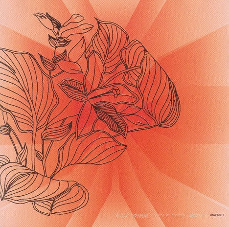 Aaliyah : I Care 4 U (CD, Comp, Enh + DVD-V, PAL + Spe)