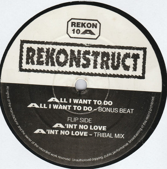 The Fold (8) : All I Want To Do / A'int No Love (12")