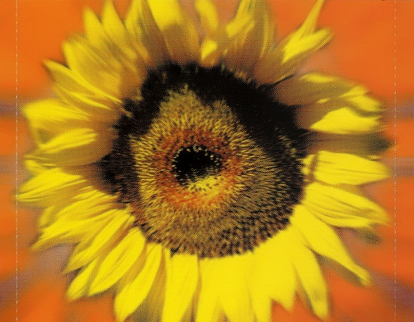Various : Flower Power - The Woodstock Generation (2xCD, Comp)