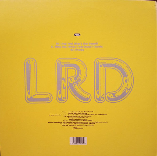 Les Rythmes Digitales : (Hey You) What's That Sound? (12")