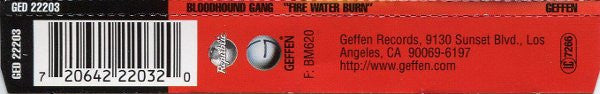 Bloodhound Gang : Fire Water Burn (CD, Maxi)