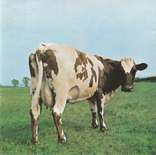 Pink Floyd : Atom Heart Mother (CD, Album, RE)