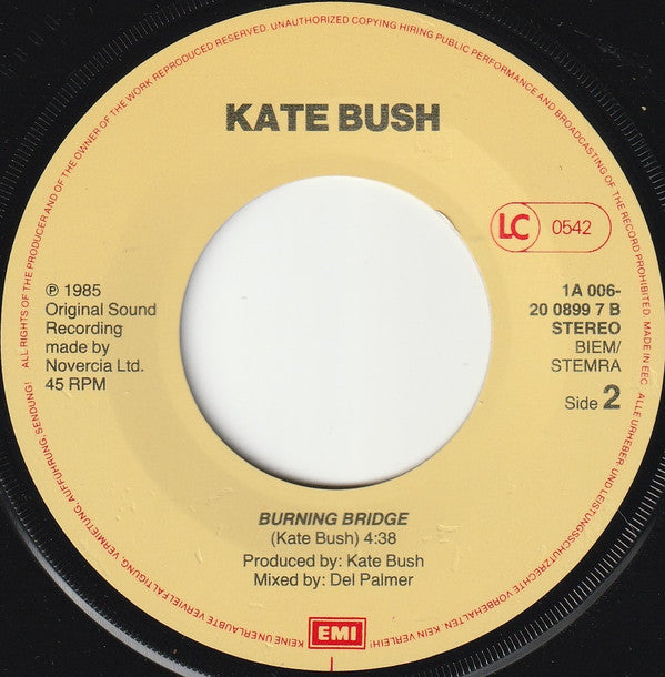 Kate Bush : Cloudbusting (7", Single)