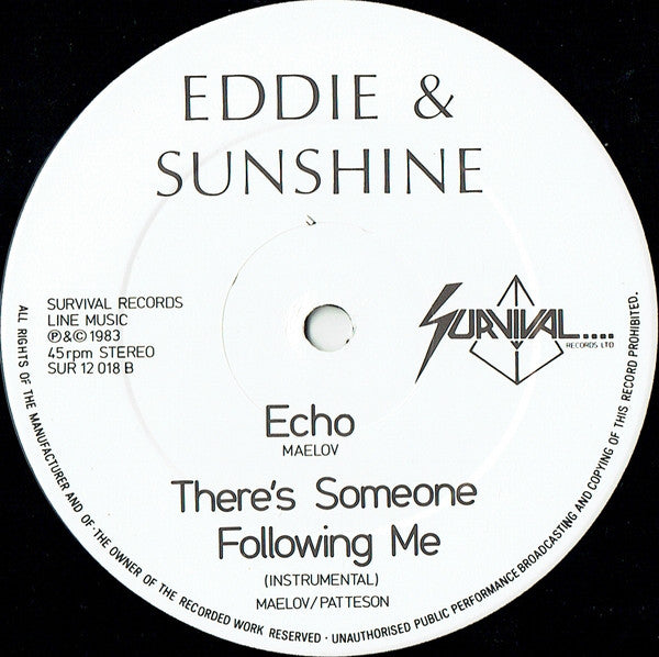 Eddie & Sunshine : There's Someone Following Me (Extended 12 Inch Version) (12")