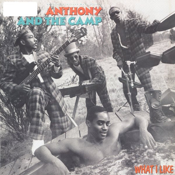 Anthony And The Camp : What I Like (12")