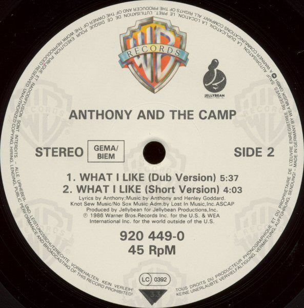 Anthony And The Camp : What I Like (12")