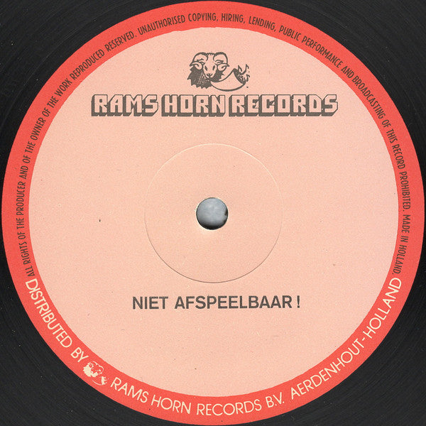 Nikki Lauren : Again & Again (12", S/Sided, Single)