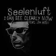 Seelenluft : I Can See Clearly Now (7")
