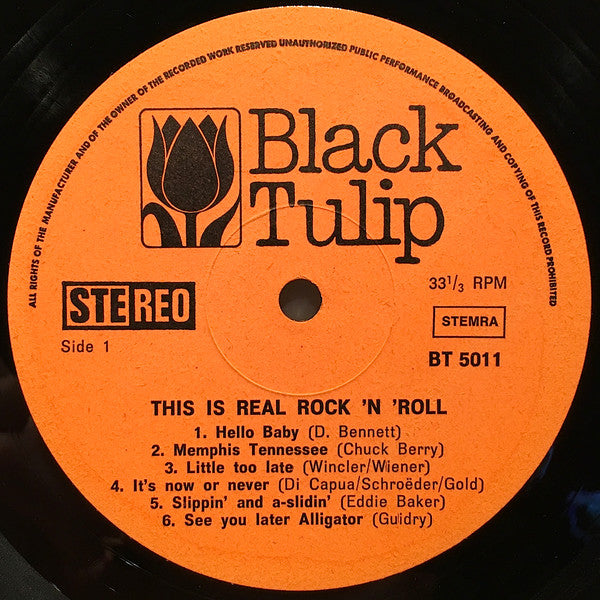 Unknown Artist : This Is Real Rock'N Roll (LP)
