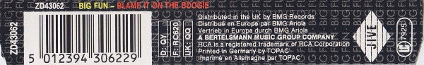 Big Fun : Blame It On The Boogie (CD, Maxi)