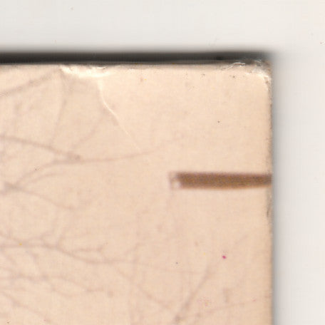 Acyutananda Swami : India (LP, Eng)