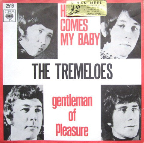The Tremeloes : Here Comes My Baby (7", Single)
