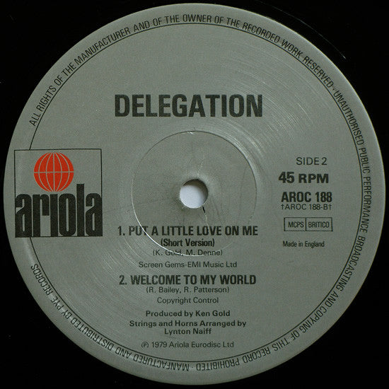 Delegation : Put A Little Love On Me (12", Pic)