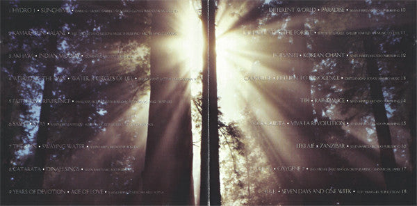 Various : Raindance (CD, Comp)