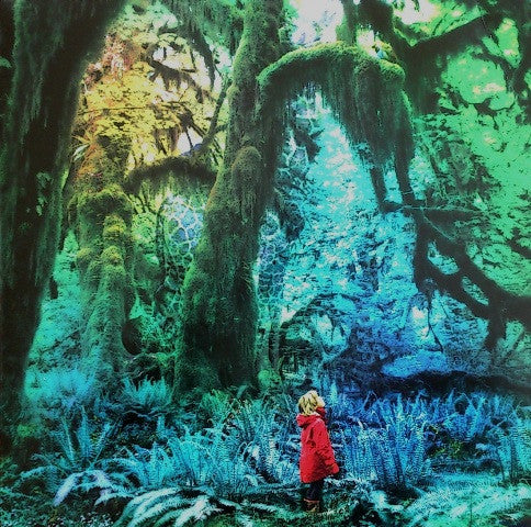 Jacco Gardner : Cabinet Of Curiosities (CDr, Album, Promo)
