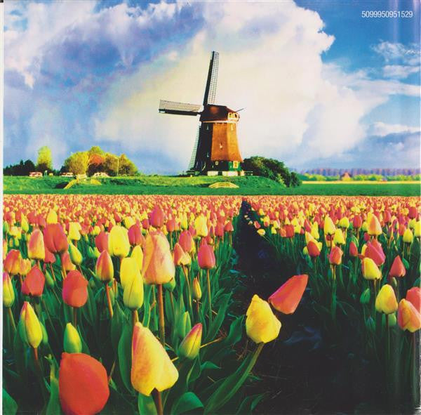 Various : Alle 40 Goed - Hollandse Hits (2xCD, Comp)