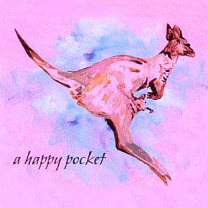 The Trash Can Sinatras : A Happy Pocket (CD, Album)