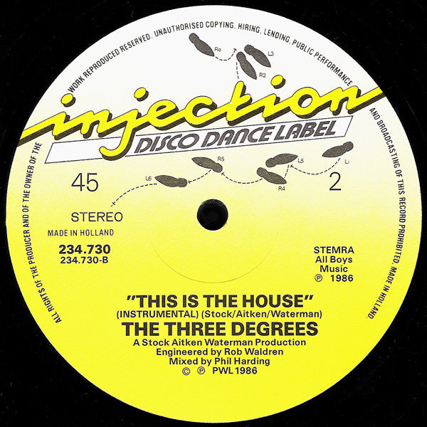 The Three Degrees : This Is The House (12", Pic)