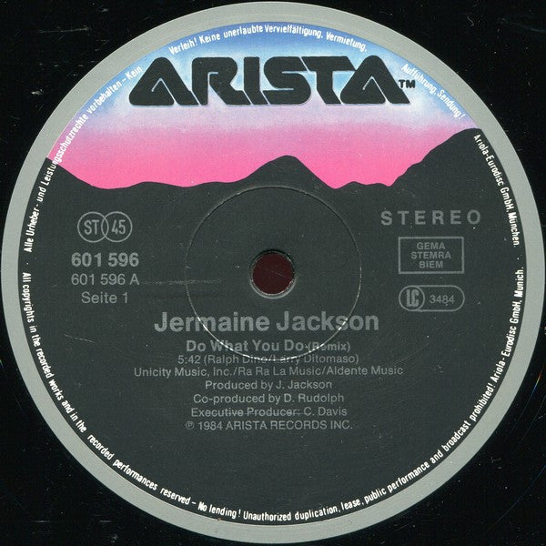 Jermaine Jackson : Do What You Do (Remix) (12", Maxi)